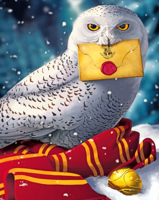 Harry Potter Hedwig - Paint By Numbers - Num Paint Kit